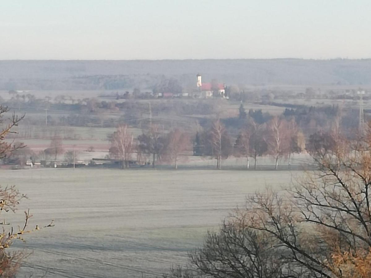 Adler Brasserie Munderkingen Esterno foto